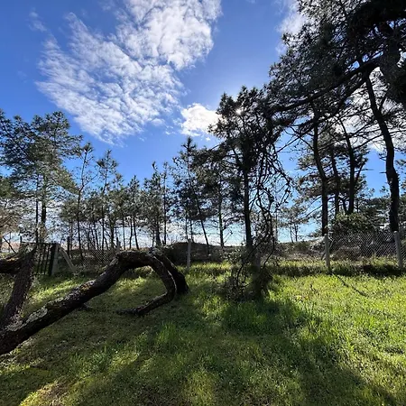 Maison Renovee 3 Pres De L'ocean Avec Jardin Ferme Et Wifi - Fr-1-194-290 La Faute-sur-Mer